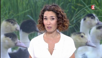 Marie Sophie Laccarrau Février 2017 4aac79533893368