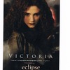 Eclipse cards E03b5083955835