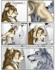 GALERIA YIFF     M/M - M/F - F/F 0d9b9c109767820