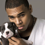 chris brown photo 3546af27028350