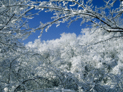 Zima/Winter wallpapers 1600x1200 47721d54242223