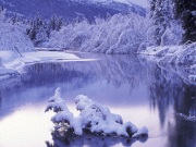 Zima/Winter wallpapers 1600x1200 9d315154242415