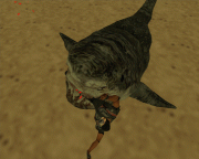 Evolved Mutant Shark B5c35111247863