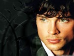 Tom Welling  (Clark Kent - Kal-El) Ad2ab194320583