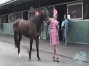 Miranda Meets Her Lucky Number 12 At The Caulfield Cup B8615852581722