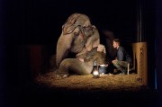 31-MARZO-Nuevos Stills de 'Water For Elephants' 8d0488125902566