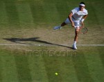 Bernard TOMIC - Page 2 Fd62c4138112119