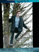 Pics from Twilight Scene It C930e573874673