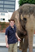 Water for elephants (Jacob Jankowski) Post-Produccion - Página 14 E216cc126473783