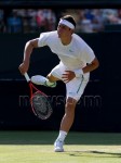 Bernard TOMIC - Page 2 C9602f138112021