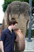 Water for elephants (Jacob Jankowski) Post-Produccion - Página 14 116c7b126473742