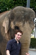 Water for elephants (Jacob Jankowski) Post-Produccion - Página 14 5846f9126473751