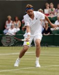 Mardy FISH - Page 5 2410a0138277238