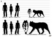 The werewolves Affe7087683629