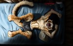 [Galería] Wallpapers Yiff 26fc51162650764