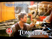 Imagenes/Videos Promocion de "Water For Elephants" - Página 3 38b32d125715486