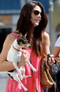 Ashley Greene - Imagenes/Videos de Paparazzi / Estudio/ Eventos etc. - Página 22 2c272e196463547