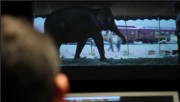 Imagenes/Videos Promocion de "Water For Elephants" - Página 3 424137126066287
