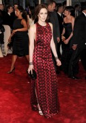 METgala 2011 3f6a0e130571486