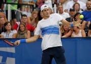 John ISNER - Page 5 5a446a141747427