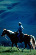 Заклинатель лошадей / The Horse Whisperer (Роберт Редфорд, Сэм Нил, Скарлетт Йоханссон, 1998)  70e740205631131