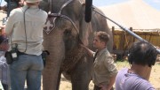 WATER FOR ELEPHANTS (Agua para elefantes) - Página 3 328143146521856