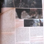 Robert Pattinson et Breaking Dawn dans le magazine L'Ecran Fantastique 743a46162977006