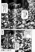 [Manga] Saint Seiya Next Dimension - Page 15 9e538b169354508