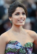 Freida Pinto 22c5d8190762969