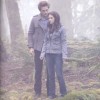 Twilight Illustrated Movie Companion Book 73320d87667679