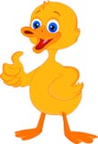 193. wainp waimp Cute-little-duck-cartoon-thumb-up-illustration-43913586