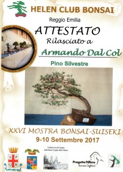 Ecco il pino silvestre lavorato alla Giareda A24efc618021603