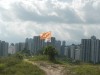 Hiking Tin Shui Wai - 頁 6 A2501d576187433