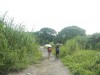 Hiking Tin Shui Wai - 頁 6 B66bd1615832673