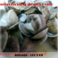 ALMEJAS AL AJILLO Y SALSA DE VINO BLANCO (Angel) 0292aff81777cd18ee57e7b5d59827cao