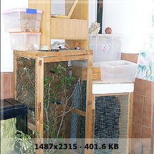 La habitacion de los animales-... 03866a5c932b5153c12e5b0ef6194b1bo