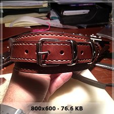 COLLAR DE RASTREO 1c841e85fee461674db246b24ead23b0o