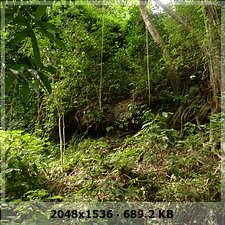 veracruz digging and prehispanic pyramid discovery and unexplored caves!!! 1da55cd0e9e95c756040849cb732be45o