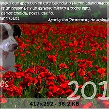 Post para Loterias de Navidad 2009-2010 242de373727bbc3c50a54fcbc4abeb9do