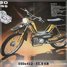 Enamorados De Las Puch - Encuesta De Modelos - Página 2 2b87840f916ed571b3878ac4d8154e67o