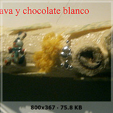 Troncos dulces y agridulces  navidad 2.008 2f19814e02a211efa3ea4a34080de25bo