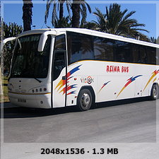 Reina Bus 3063496f6d8cd4aa337c0ebe928145a5o