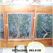 La habitacion de los animales-... 522a678f88a3e9859baff1893bb83792o