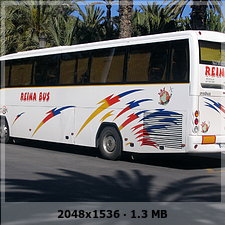 Reina Bus 577800870ae06b94f7b97b18dec30a50o