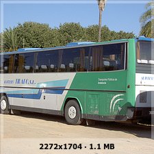 Autobuses Tirado 81bf44e2d03749917e1b93b9bb7972deo