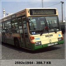 LAS NOVEDADES DE TRANVIA 8732bd855e9b71f610a5f7bf7ad0fea2o