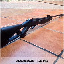 gamo Whisper IGT  4'5   Nueva 8914e0f984453e6e838eba57e51fc002o