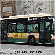 FLOTA TRANSPORTE URBANO CÁDIZ - Página 2 8ce060366bef5a4e4c8974d32234a909o