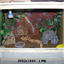 nuestro nuevo terrario para Geckos 9c8e6715ce879906129d60a3f4b38839o