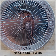 Monedas de plata de inversión y algunas FDC/Proof con manchas de leche (No comprar monedas de las cecas que se detallan). A816cca00f08600e57bace9b87848a6fo